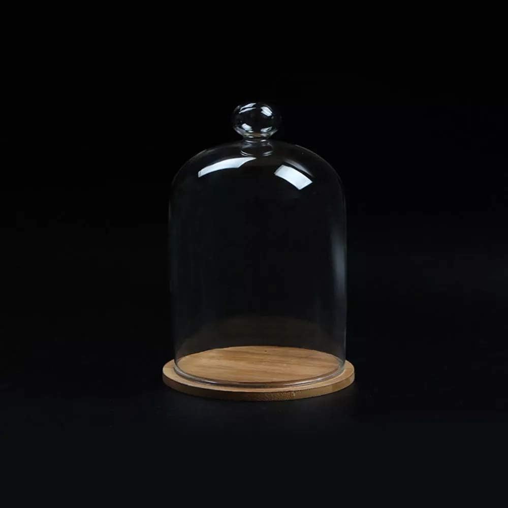 Home Decor Vases Glass Flower Display Cloche Bell Jar Dome Immortal Preservation + Wooden Base Everlasting Flower Glass Cover