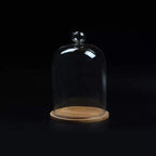 Home Decor Vases Glass Flower Display Cloche Bell Jar Dome Immortal Preservation + Wooden Base Everlasting Flower Glass Cover