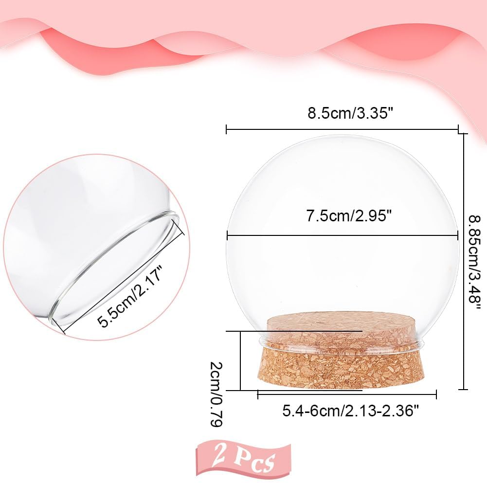 2 Pcs Eternal Flower Glass Dome Cloche, 3.4x3.5 Inch Glass Dome Cover with Cork Base Arch Bell Jar Cloche for Centerpieces Plants Rocks Specimens Decorations Crafts