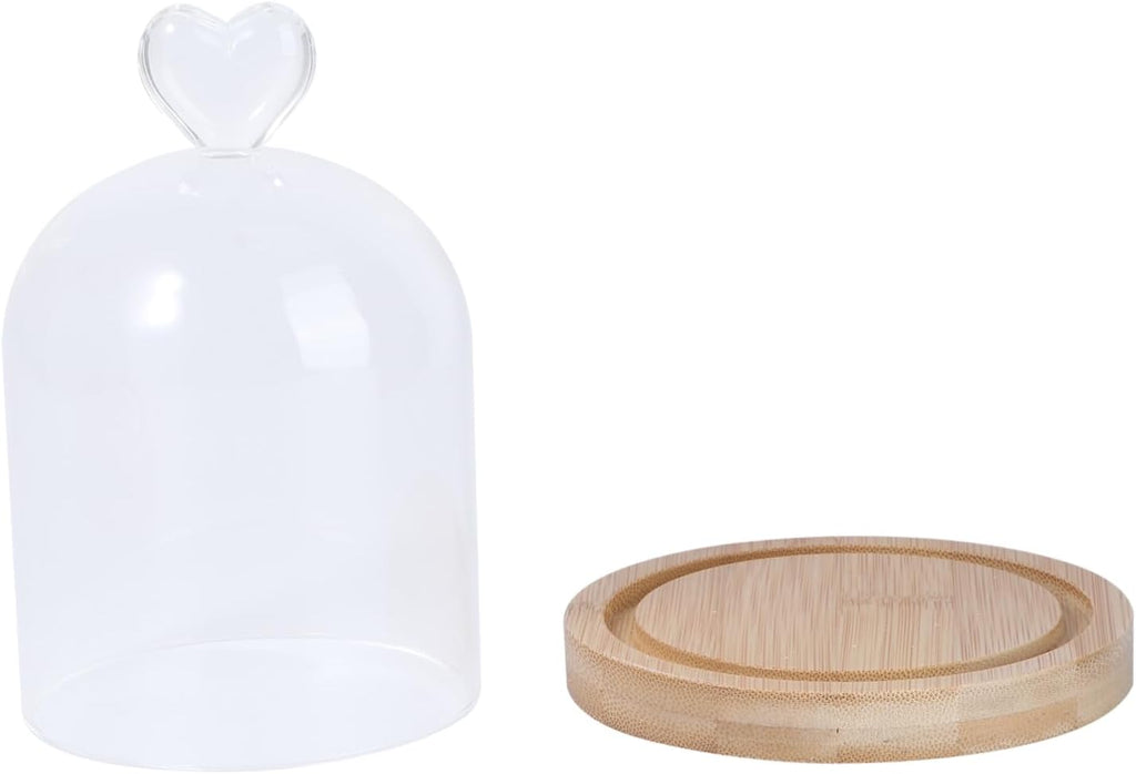 Glass Cover Flower Dome Dried Flower Container Terrarium Jar with Wooden Base