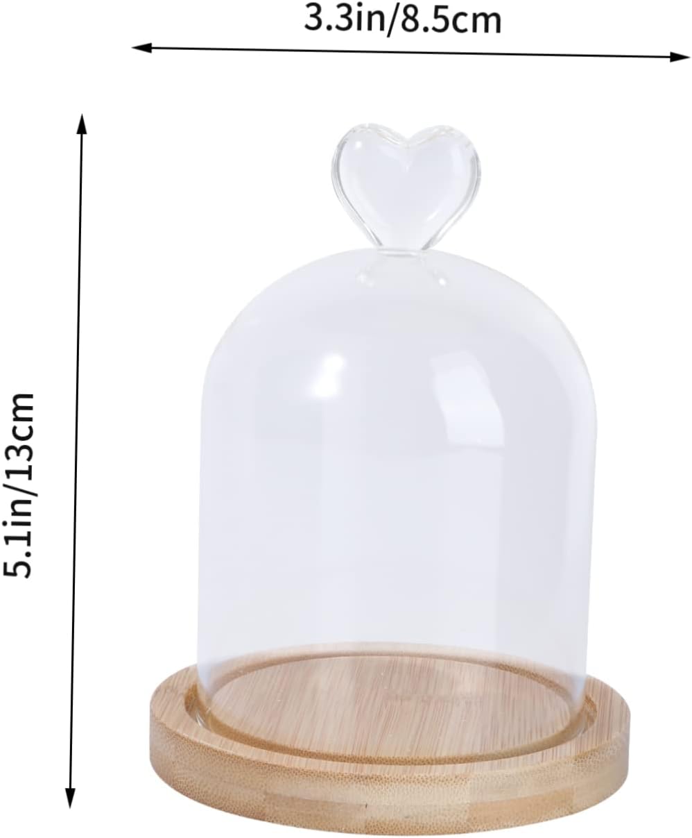 Glass Cover Flower Dome Dried Flower Container Terrarium Jar with Wooden Base