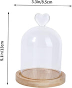 Glass Cover Flower Dome Dried Flower Container Terrarium Jar with Wooden Base