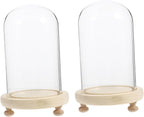 2 Sets Floral Decor Glass Flower Cover Preserved Flower Display Elegant Desktop Accessory