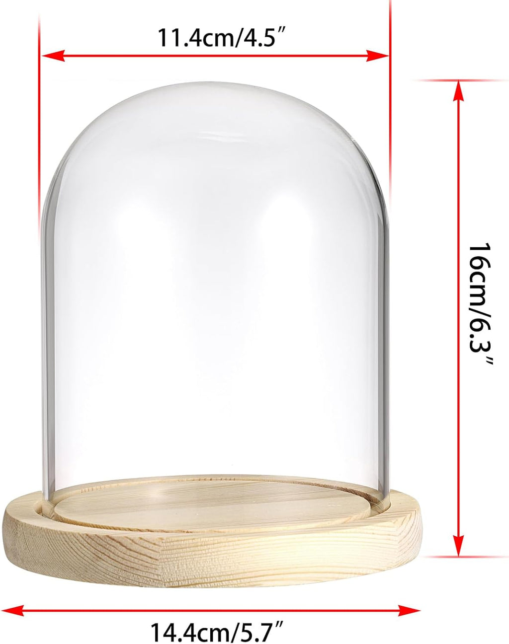 Glass Display Dome Cloche with Solid Wood Base, Clear Glass Dome Cloche Bell Terrarium Jar for Plants, Collectibles and Figurines
