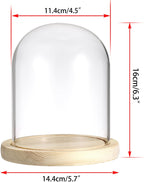 Glass Display Dome Cloche with Solid Wood Base, Clear Glass Dome Cloche Bell Terrarium Jar for Plants, Collectibles and Figurines