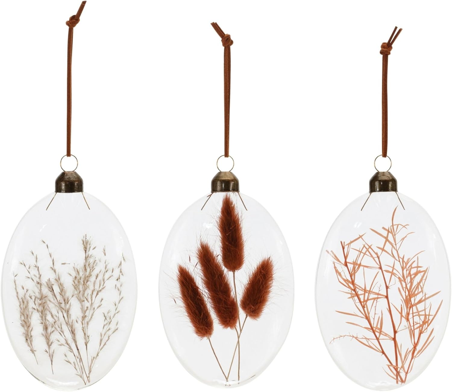 Dried Floral Glass Christmas Ornaments - 5.5" - Multi-Color -12ct