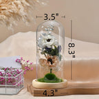 Night Light with High Borosilicate Glass Cover, Forever Flower Dried Flower Mini Landscape Desktop Ornament for Mother's Day (Orange)