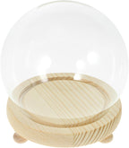 Glass Holders for Flowers Preserved Flower Display Case Miniature Glass Dome Elegant Decorative Bell Jar
