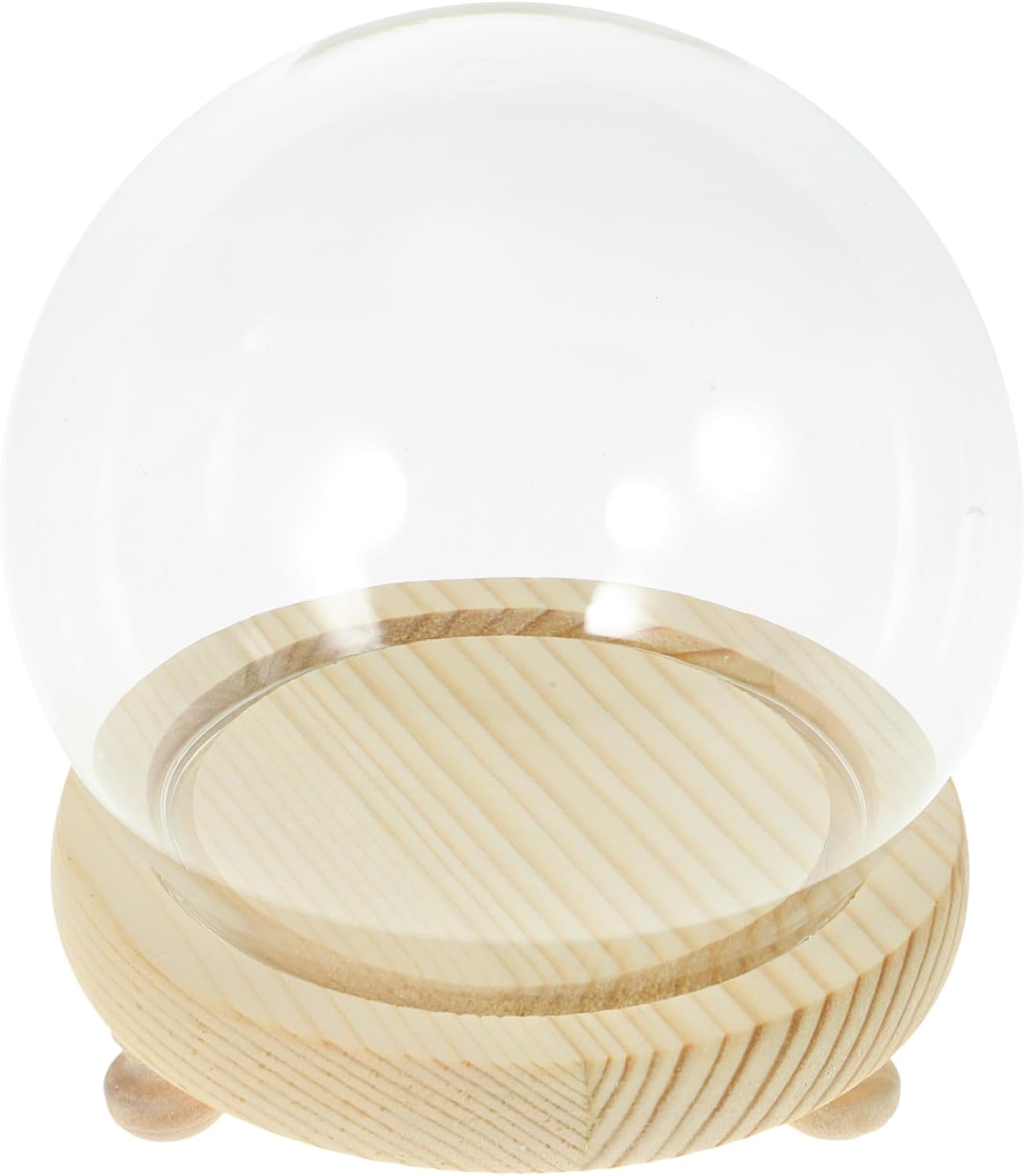 Glass Holders for Flowers Preserved Flower Display Case Miniature Glass Dome Elegant Decorative Bell Jar