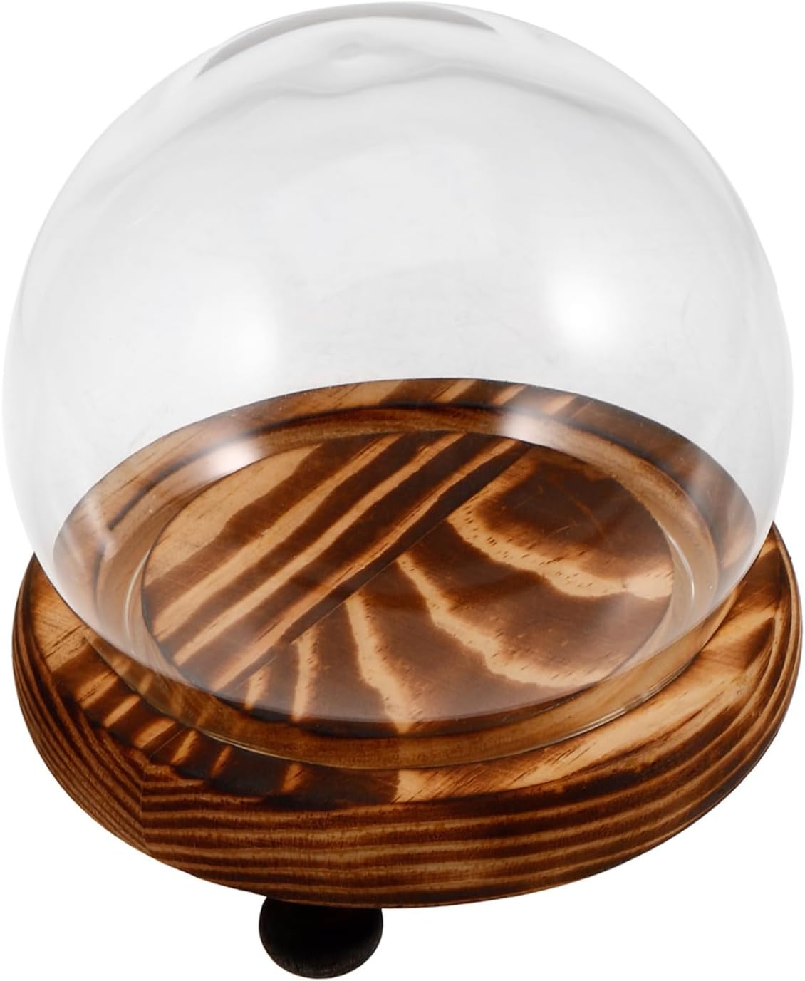 Glass Cover Ornaments Flower Display Cloche Dome Glass Display Case Base