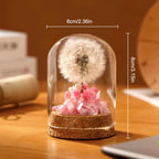 Immortal Dried Flower Dandelion Specimen Glass Cover Desktop Ornament Birthday Gift