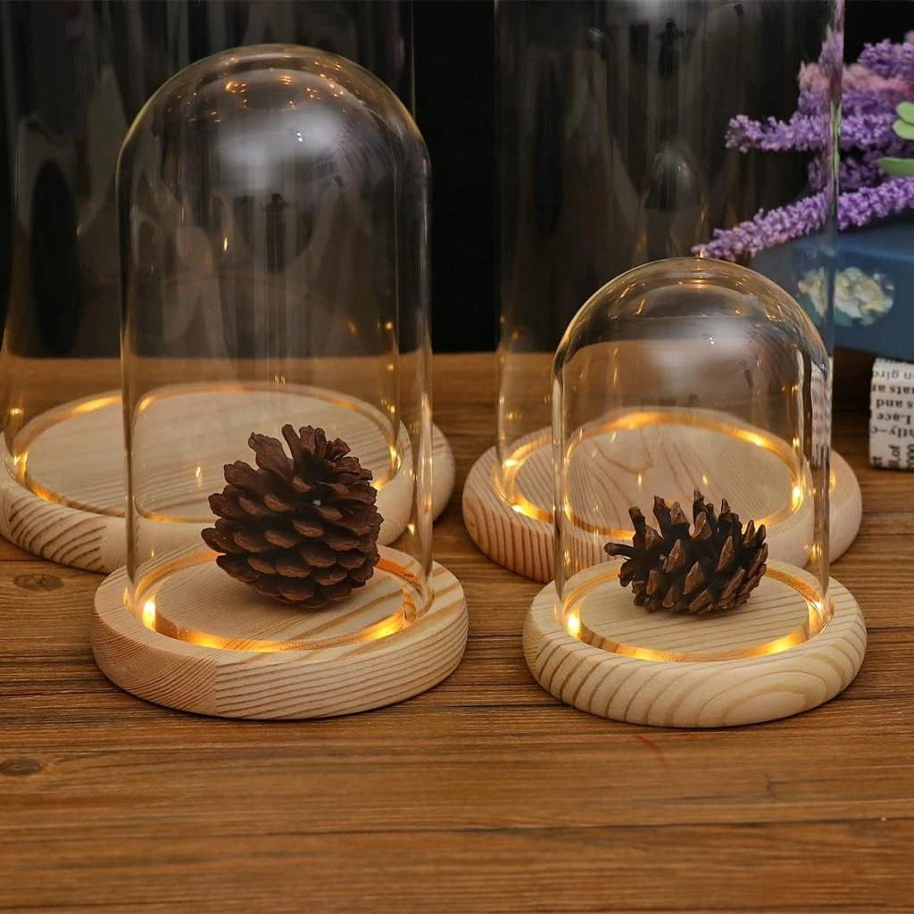 Tabletop Display Glass Cover Container Decor Dry Flower Ornaments Craft Bell Jar Wood Base with Feet Holder (3.54 * 4.72)