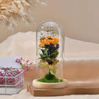 Night Light with High Borosilicate Glass Cover, Forever Flower Dried Flower Mini Landscape Desktop Ornament for Mother's Day (Orange)