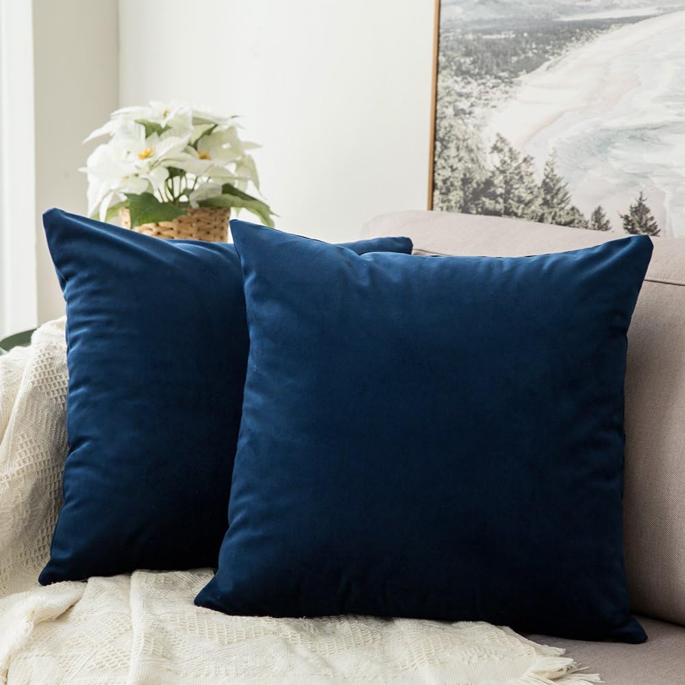 Pack of 2, Velvet Soft Solid Decorative Square Throw Pillow Covers Set Cushion Case for Spring Sofa Bedroom Car 18x18 Inch 45x45 Cm
