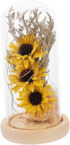 1pc Sunflower Dried Flower Glass Cover Led Lamp Elegant Night Light Decoration for Warm Atmosphere Creating Table Centerpiece