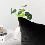 Decorative Throw Pillow Covers Pack of 2 Velvet Throw Pillow Cases for Couch Pillows Cover Bedroom Living Room Outdoor, Pillow Covers 20x20 Inch Black
